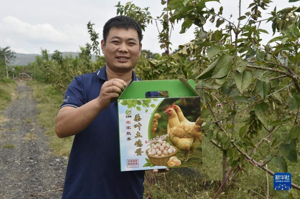 沙巴现金网